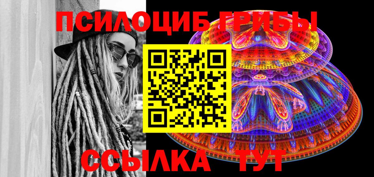 где купить   Псилоцибиновые грибы GOLDEN TEACHER  Вход с VPN  Ставрополь 